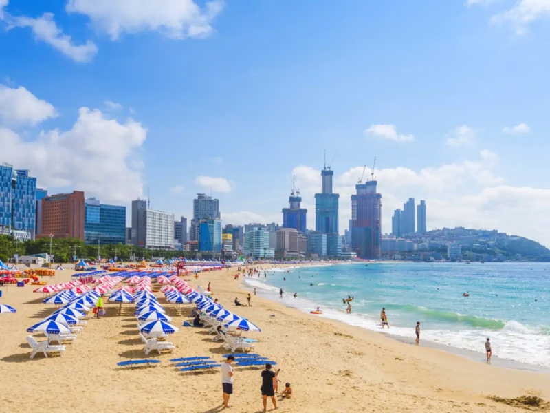 BUSAN TUR PROGRAMI